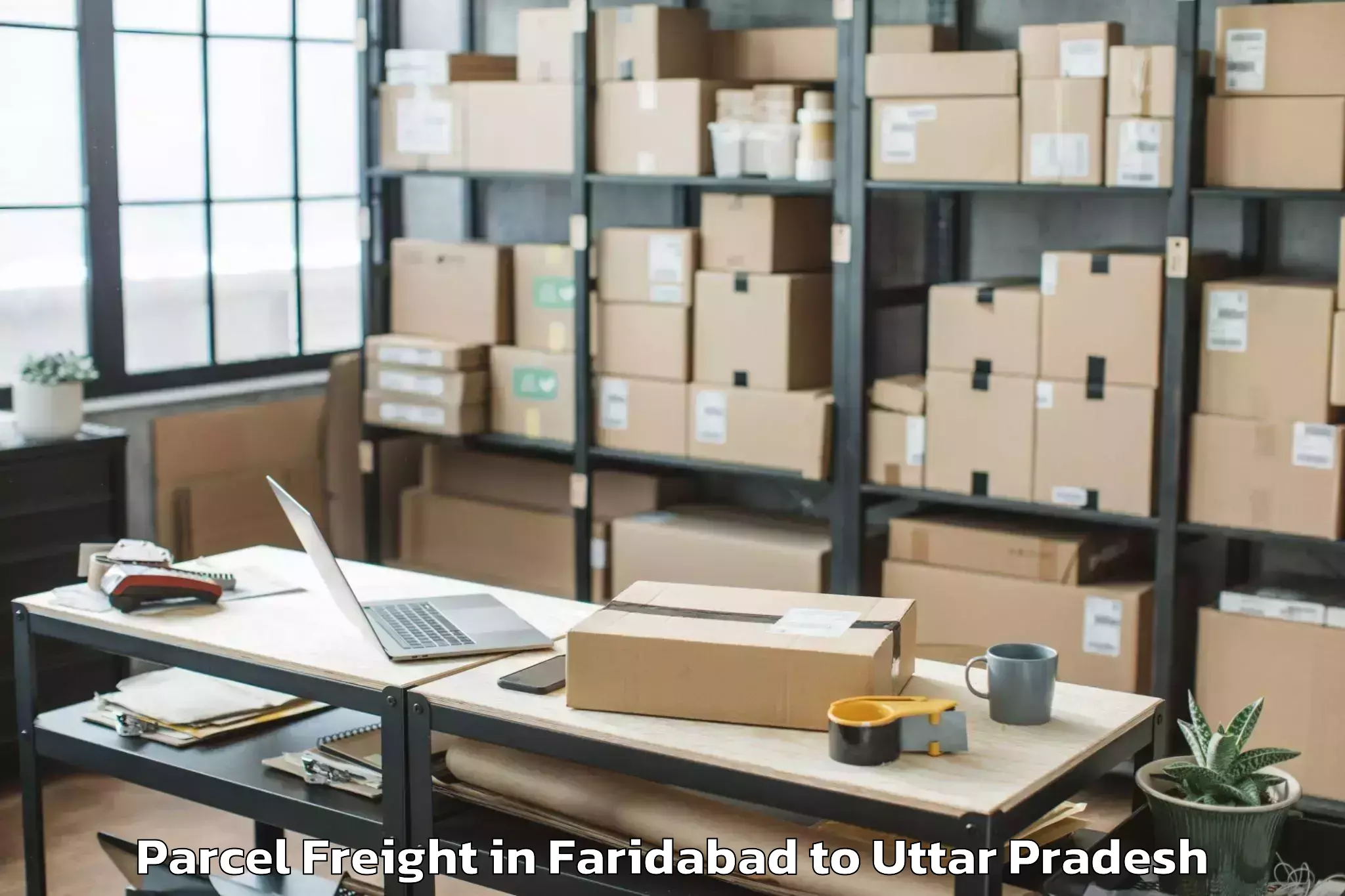 Reliable Faridabad to Captainganj Parcel Freight